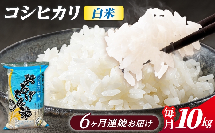 
                  【6回定期便】コシヒカリ 白米 10kg×6ヵ月 愛西市 / 脇野コンバイン [AECP028]
                