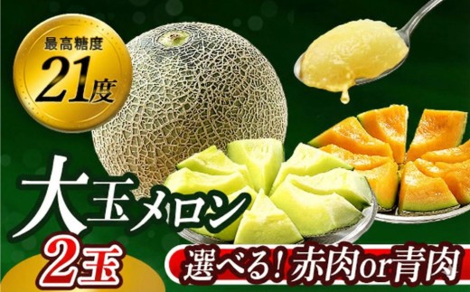 【先行予約】 メロン 2026 発送5月下旬～ 最高糖度21度！奇跡のキスグリーン メロン 2玉 青肉 めろん おすすめ 人気 国産 青 産地直送 茨城 鉾田 フルーツ 旬 大きい プレゼント 贈り物 贈答 旬 定番 果物 くだもの 大玉 甘い 青肉