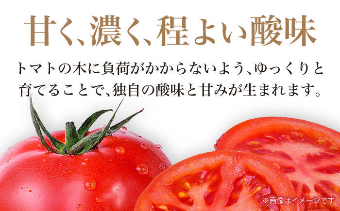 リサフルーツトマト 約2kg トマト とまと 野菜 【株式会社 堀】 [ATDA003]
