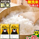 【ふるさと納税】令和6年産 新米 無洗米 も選べる 森のくまさん 5kg×1袋 2袋 3袋 4袋 5kg 10kg 15kg 20kg 高レビュー 熊本県産 ふるさと納税 無洗米 白米 精米 ひの 米 こめ ふるさとのうぜい コメ お米 おこめ kome musennmai
