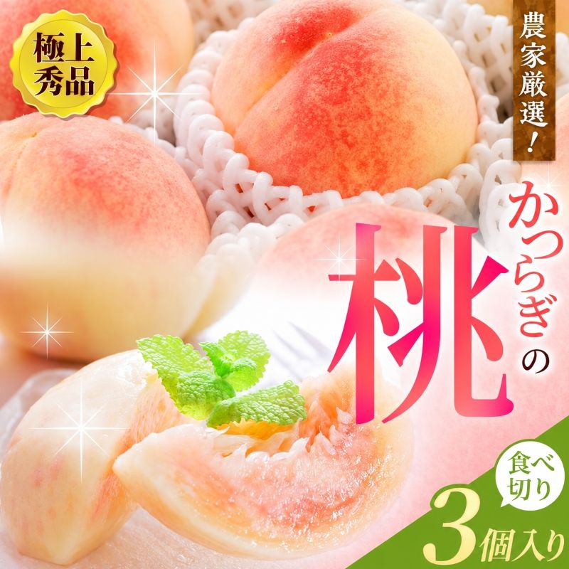 【ふるさと納税】 桃 極上 秀品 食べきりやすい3個入 【先行予約】こだわり 農家厳選 / もも フルーツ 果物 くだもの 食品 人気 おすすめ 送料無料 ※2027年6月下旬頃～7月下旬頃順次発送予定（お届け日指定不可）※離島への配送不可