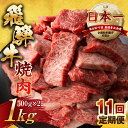 【ふるさと納税】【訳あり】定期便 飛騨牛 焼肉 切り落とし 500g × 2 計 1kg 11回お届け | 定期便 お楽しみ 牛肉 肉 切落し 和牛 国産牛 黒毛和牛 牛肉 肉 わけあり ワケアリ 不揃い 小分け 冷凍 本巣市 トキノ屋 食品 訳有 [mt447] 275000円