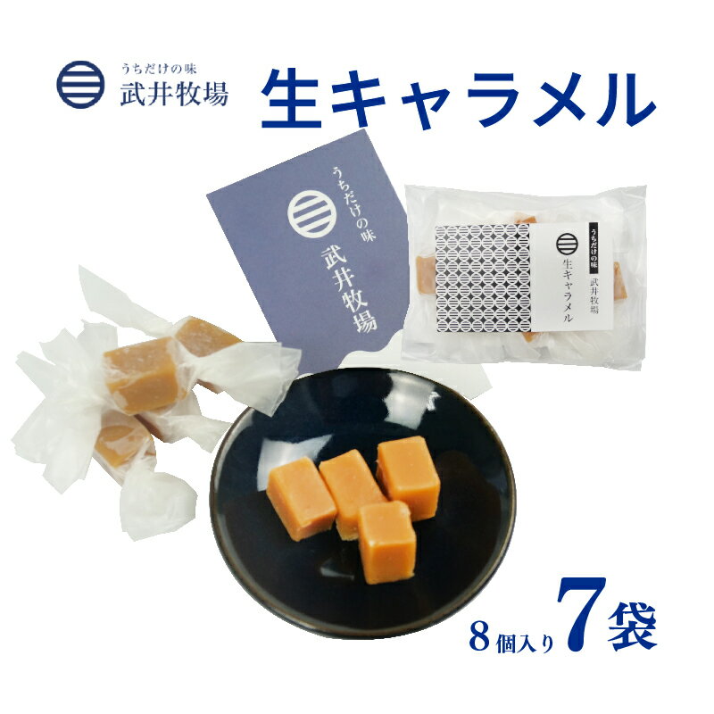 【ふるさと納税】 生キャラメル 8個入り × 7袋 武井牧場 とろける キャラメル お土産 プレゼント ギフト 贈答 お取り寄せ スイーツ お菓子 デザート 濃厚 手作り 牛乳 生クリーム バター 高級 人気 おやつ 贅沢 沼津市 静岡県