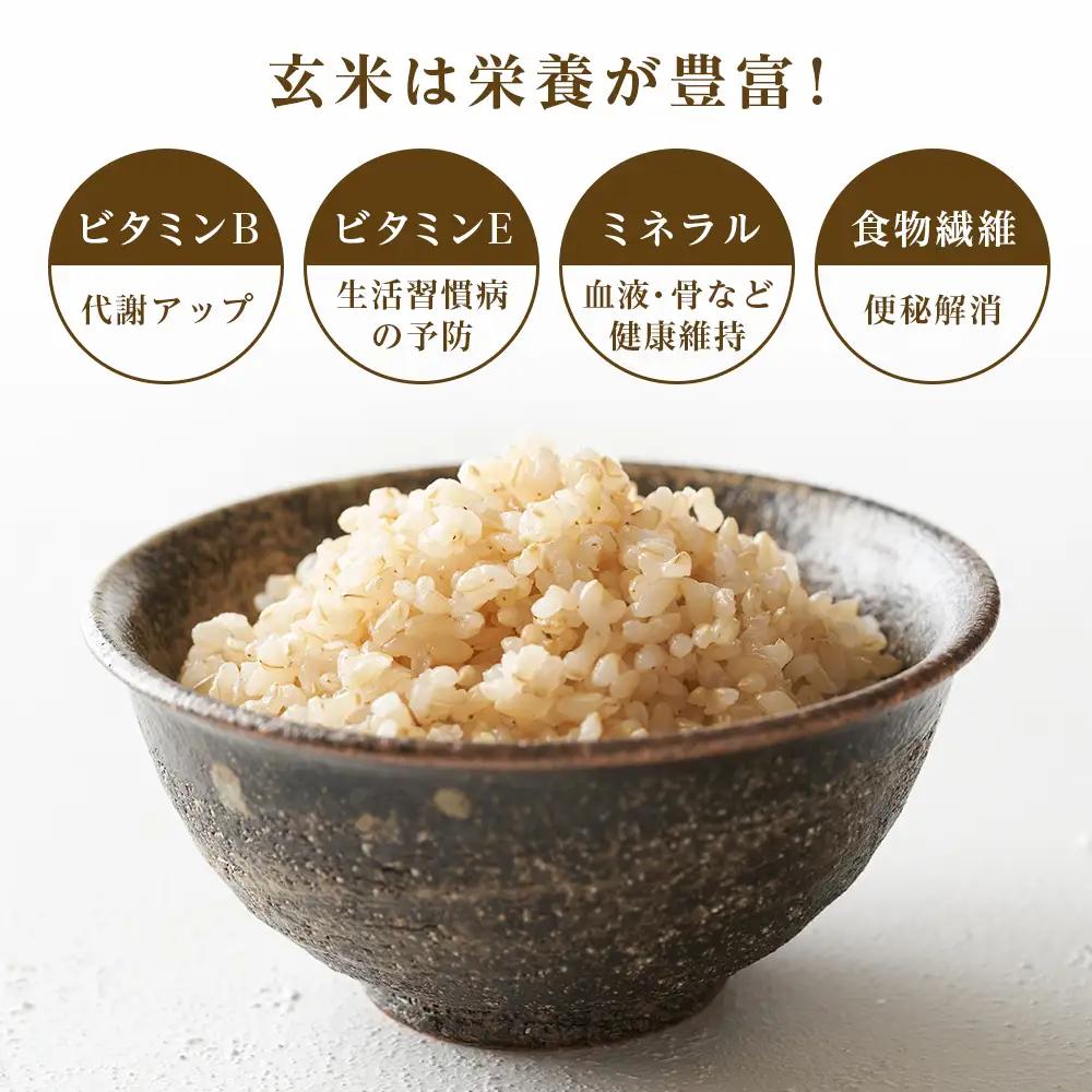 【令和7年産】★金賞農家★が作る玄米「ふっくりんこ」5kg《杉本農園》