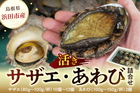 海鮮 サザエ あわび詰合せ 計12～15個 海鮮 セット 【033_1775】