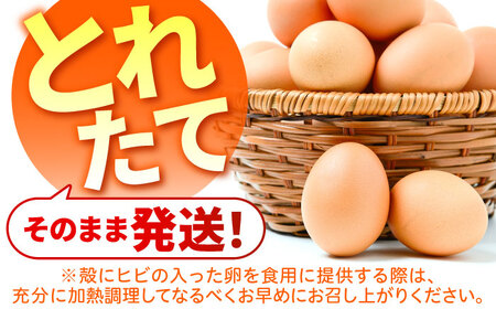 【全12回定期便】お茶と海藻で健康育ち 元気卵 720個（60個×12回） / たまご タマゴ 玉子 鶏卵 / 亀山市 / 藪本養鶏園[AMBH011]
