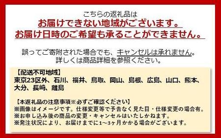 【100％完成納品】PELTECH（ペルテック）後チャイルドシート付子供乗せ適用電動アシスト自転車 前24/後20内装3段 TDH-408L-CH【グレイ】