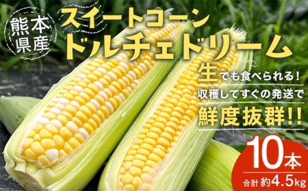 熊本県産スイートコーン ドルチェドリーム 約4.5kg 1本450g以上×10本 野菜 スイートコーン とうもろこし 【2025年6月上旬‐6月下旬迄発送予定】