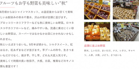 道の駅まくらがの里古河　季節の新鮮野菜おまかせAセット_BQ03 ※北海道・沖縄・離島への配送不可