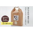 【ふるさと納税】石川県産特別栽培米コシヒカリ「もりひろ」5.8kg2回連続お届け　【定期便・お米・コシヒカリ・頒布会】