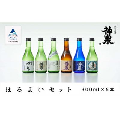ふるさと納税 小松市 日本酒 神泉 ほろ酔いセット300ml 6本セット (6種類)大吟醸 純米酒