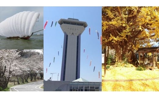 【ふるさと納税】【石岡駅発】なめがた日帰り　観光ツアー（2名様分）（BU-1）