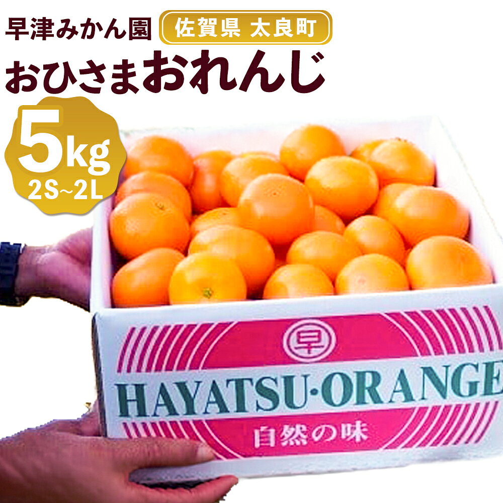 【先行予約】【ふるさと納税】おひさまおれんじ5kg　希少 みかん ミカン 蜜柑 フルーツ くだもの 果物 ミネラル豊富 太良町 国産 人気 おすすめ ギフト贈り物 ギフト 濃厚 ジューシー 甘い　N85x1【2026年12月上旬～2027年1月上旬】