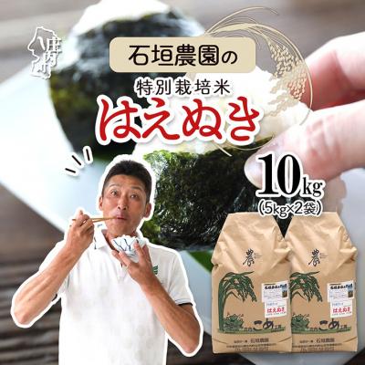 ふるさと納税 庄内町 石垣農園の特別栽培米 はえぬき 10kg 令和7年産 2025年産 ブランド米
