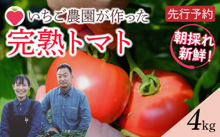 【 先行予約 】朝採り 完熟トマト 4kg（大玉）トマト 鮮度抜群 がもう農園 直送 トマト 7月より発送 福島県 田村市