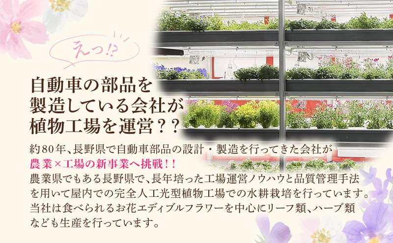 自動車部品メーカーが作った植物工場！エディブルフラワーの収穫体験付き工場見学（大人2名＋小学生以下2名まで）栽培期間中無農薬で育てたリーフ＆エディブルフラワーサラダカップのお土産付き 食用花 お花 サラダ 工場見学 体験 チケット