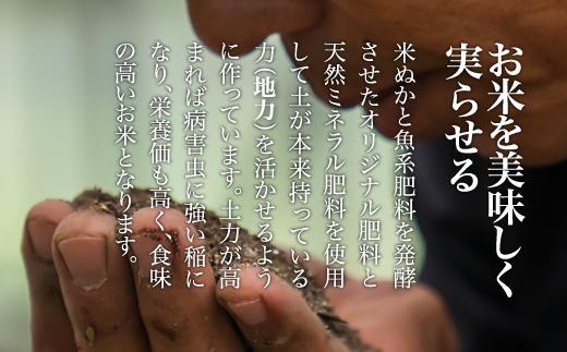 【令和７年産新米予約／令和７年（2025年）９月上旬より順次発送】南魚沼産 笠原農園米 コシヒカリ２合真空パック２０個 【簡易包装】