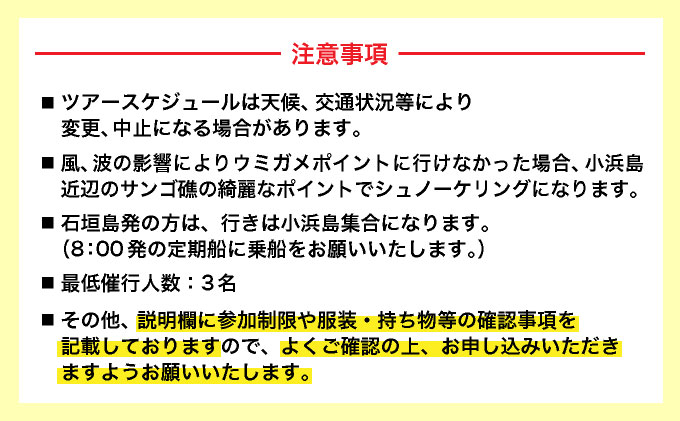 【石垣発】幻の島上陸＆海亀とシュノーケリング♪　無料『マーメイド体験、シャワー、お食事、小浜観光、片道船券付き』 竹富観光可【 旅行 体験チケット観光 大自然 体験ツアー 観光 沖縄 アクティビティ 