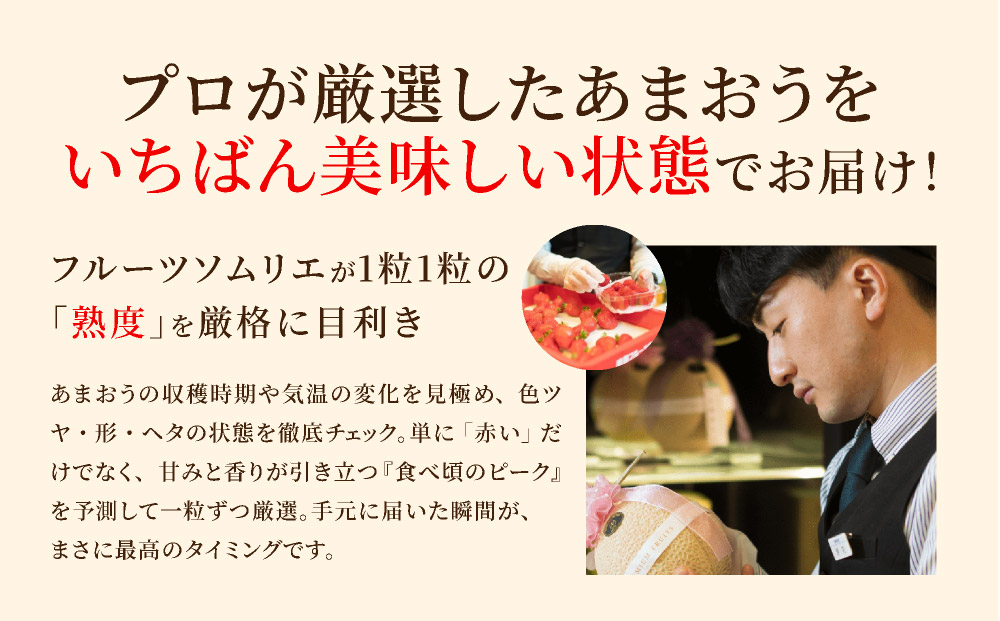アフター保証対象！【先行予約】福岡産 春 あまおう 4パック（2月上旬より発送）|苺 いちご イチゴ 完熟 あかい まるい おおきい うまい フルーツ 果物 デザート 期間限定 産地直送 冷蔵 お取り
