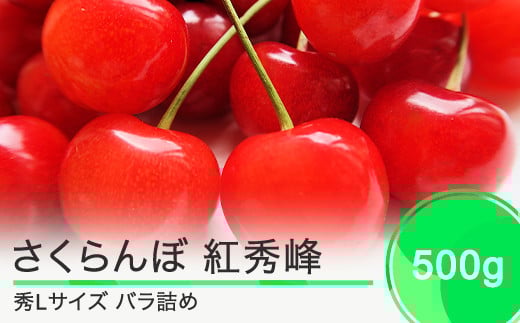 さくらんぼ 紅秀峰 秀Lサイズ バラ詰め 500g  2025年産 令和7年産 山形県産 果物 フルーツ くだもの ns-bsslb500