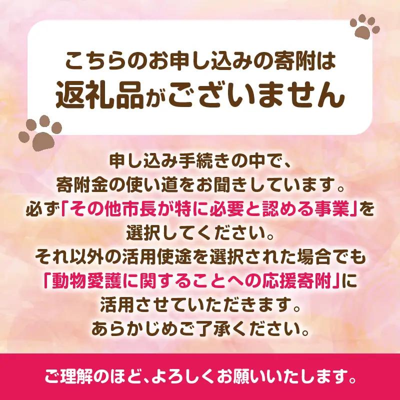 【返礼品なし】動物愛護に関することへの応援寄附(100,000円)_B001-070