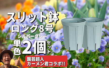 スリット鉢2個 8号 シルバーグレー