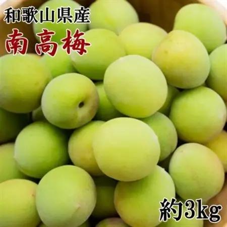 【和歌山名産】南高梅約3kg(サイズ混合)(日高町)【配送不可地域：離島・北海道・沖縄県】【1526069】