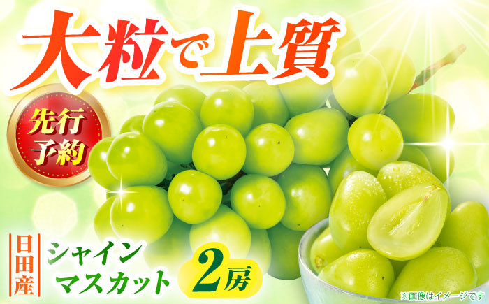 
                  シャインマスカット【先行予約・26年8月以降発送】シャインマスカット 1箱 (2房 計1.2kg～1.4kg)  日田市 / JAおおいた シャインマスカット しゃいんますかっと マスカット ますかっと 葡萄 ぶどう ブドウ 期間限定 フルーツ 果物 種なし 皮ごと食べられる【配送不可地域：北海道・沖縄・離島】 [AREW005]
                