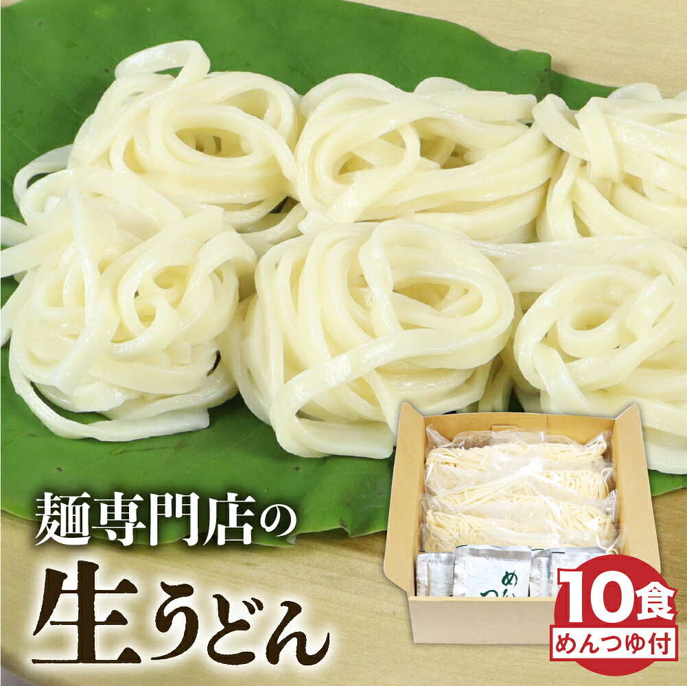 【ふるさと納税】生うどん 10食セット つゆ付 うどん 生麺 合成保存料不使用 常温保存 老田屋《hida0307》