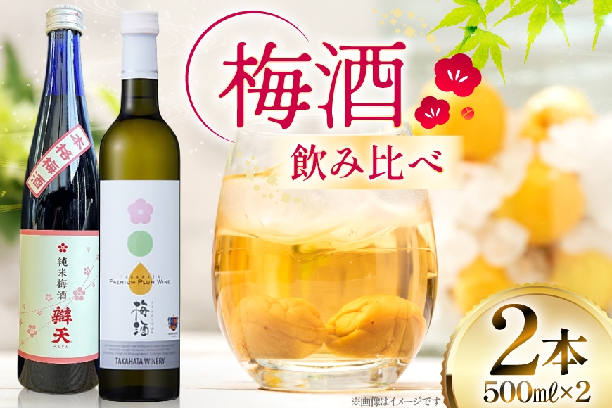 
            限定品100セット! 梅酒2本セット 高畠ワイン 辯天 500ml 日本酒 ワイン 梅酒 詰め合わせ [小田部商店 山形県 高畠町 tk06ayt180053] 梅酒 お酒 酒 純米梅酒 ブランデー
          