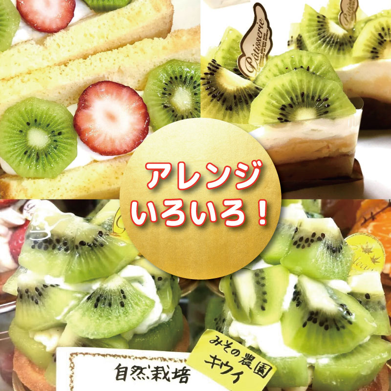 キウイ フルーツ 1kg キウイ 国産 フルーツ 果物 自然栽培 無農薬 ヨーグルト ジュース サラダ ビタミン 食物繊維 ダイエット 減量 美容 健康志向 お取り寄せ みその農園 徳島県 小松島市