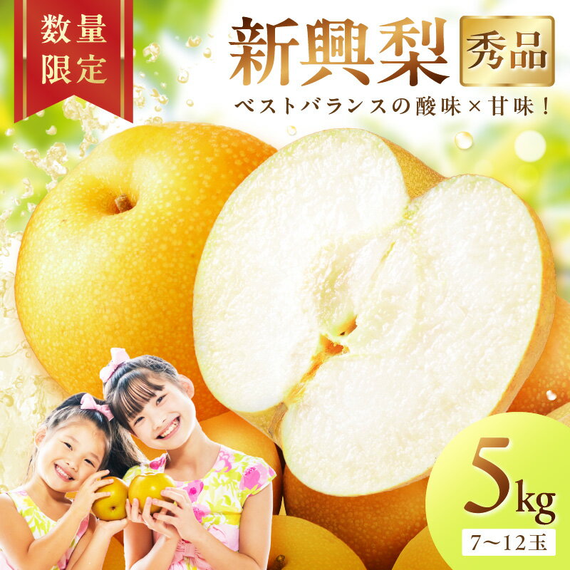【ふるさと納税】【先行予約／数量限定500】新興梨（秀品） 5kg（7～12玉）（2025年9月下旬～発送） 国産 7～12 個 玉 ふるさと 納税 梨 なし ナシ 5kg ふるさと 納税 先行予約 期間限定 ふるさと 納税 フルーツ くだもの 果物 赤梨