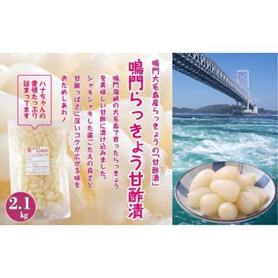 ふるさと納税 鳴門市 鳴門らっきょう甘酢漬け |  | 01