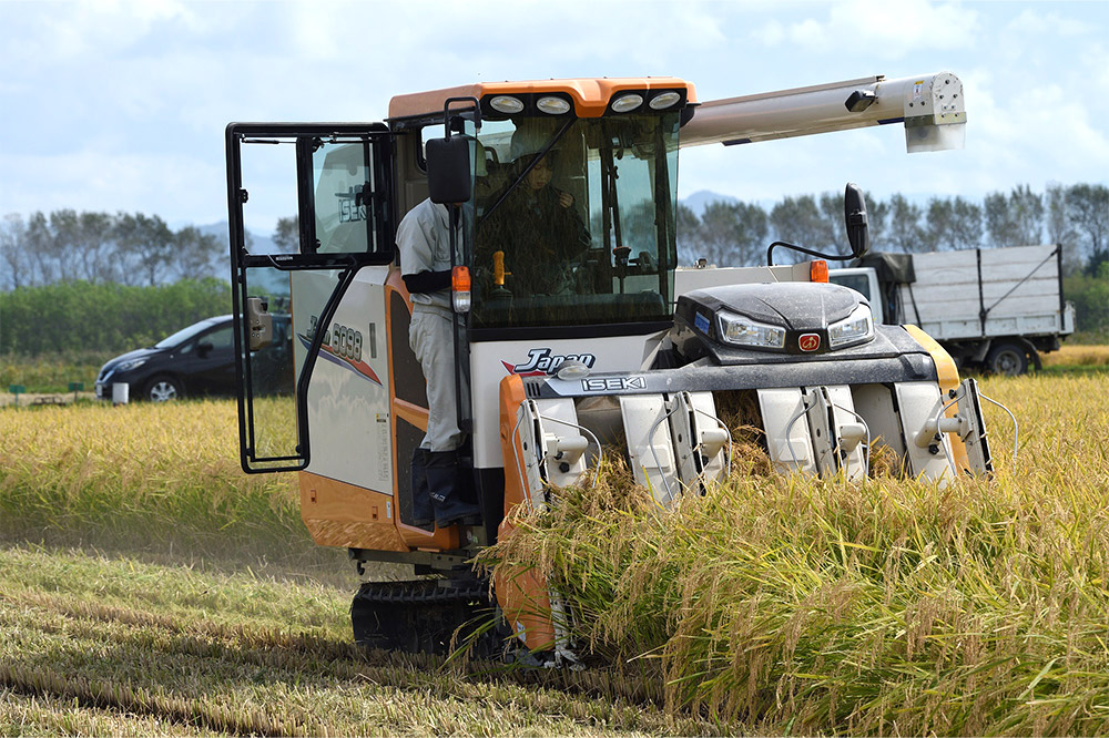 日本酒 銀鱗 ぎんりん 純米吟醸  究（KIWAMU）720ml×1本