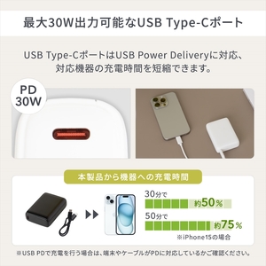 Owltech(オウルテック) USB Type-C入出力 PowerDelivery30W対応 10000mAh モバイルバッテリー OWL-LPB10020-BK ブラック