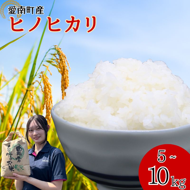 【ふるさと納税】 令和7年産 ヒノヒカリ 5kg/10kg 米5kg ふるさと納税 お米 愛南町産 白米 精米 ひのひかり 人気 産地直送 国産 農家直送 期間限定 数量限定 特産品 こめ コメ 令和7年度産 2025年産 国産米 おいしい 贈答品 プレゼント 青果市場 愛南町
