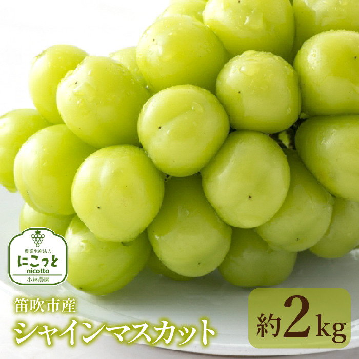 
            ＜25年発送＞笛吹市産 シャインマスカッ ト3-4房 約2.0kg 097-004
          