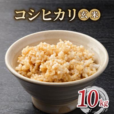 ふるさと納税 東御市 令和7年産 新米!有機肥料使用のコシヒカリ 玄米 10kg(5kg×2袋)一等米