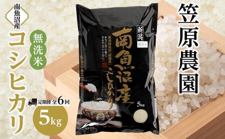 【定期便】【令和７年産】南魚沼産コシヒカリ無洗米（5kg×全6回）