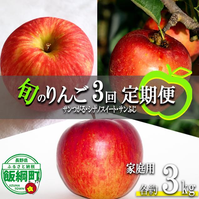 旬のりんご 【 定期便 】 家庭用 3kg × 3回 永野農園 沖縄県