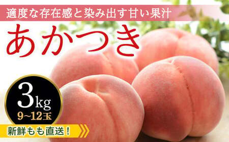 福島県産 【新鮮もも直送】あかつき 3kg 2025年7月下旬～2025年8月中旬出荷 2025年出荷分 先行予約 予約 伊達の桃 桃 もも モモ 果物 くだもの フルーツ 名産品 国産 食品  F20C-607