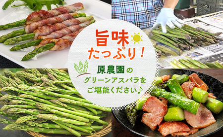 数量限定！【2026年分先行予約】 アスパラガス 専門農家 の 特選 グリーン アスパラ 800g  L サイズ 原農園 アスパラ あすぱら 野菜 北海道 上富良野町