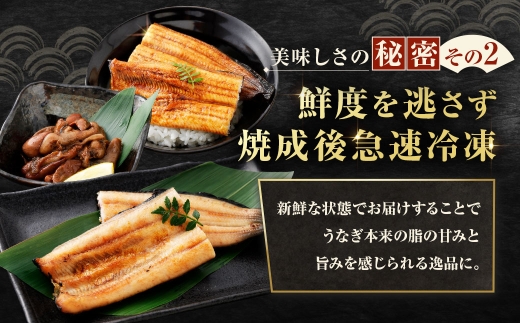 【7月13日までの入金確認で土用の丑の日までにお届け】めぐみうなぎ 堪能うなぎづくし セット 【 蒲焼 × 4 ／ 白焼き × 2 ／ 肝 × 2 】 うなぎ 鰻 ウナギ 魚類 うな重 うな丼 晩ごは