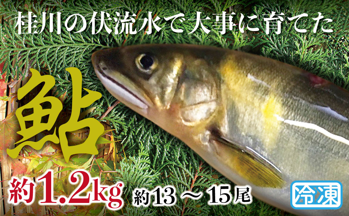 
            山梨県産　桂川の冷凍あゆ　約1.2kg(約13～15尾)
          