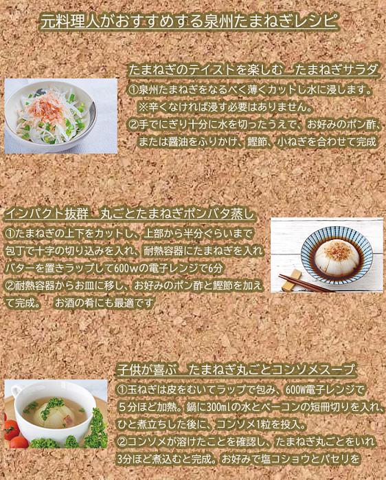 ＜2026年5月中旬順次発送 先行予約＞岸上農園　泉州玉ねぎ　約１０kg（043_5002）