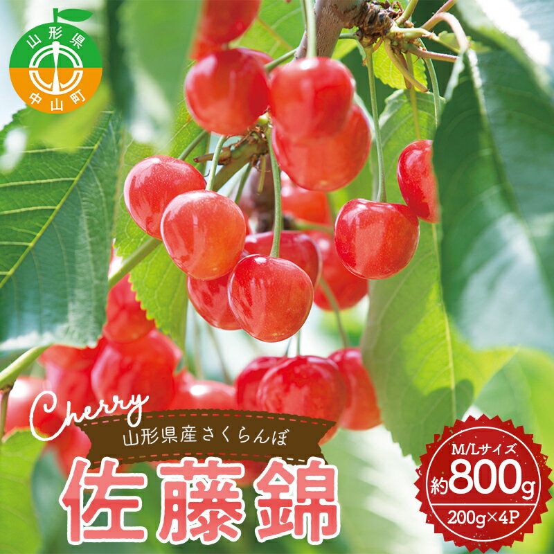 【ふるさと納税】 《2026年産先行予約》 山形県産さくらんぼ＜佐藤錦＞秀品 約800g （200g×4パック） M/Lサイズ混合 サクランボ フルーツ 果物 くだもの F4A-0372