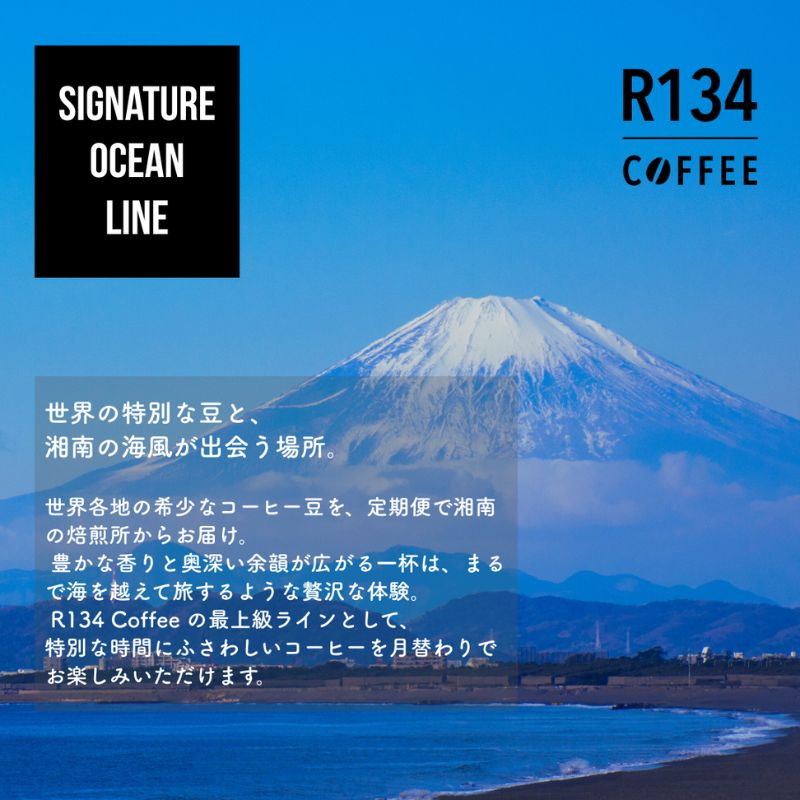 【ふるさと納税】R134 COFFEE / コーヒー / Signature Ocean Line / Exclusive / 100g 豆 x 2種 / お試しセット