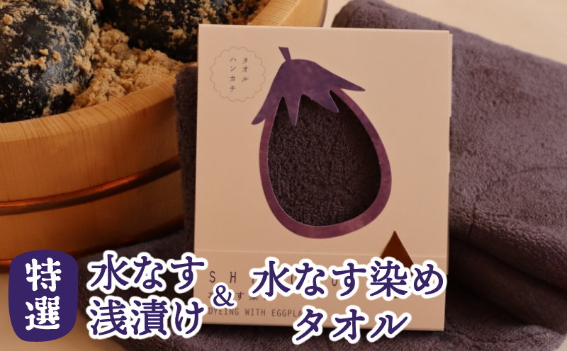 水なす浅漬け5個と水なす染め泉州タオルセット【新鮮 野菜 泉佐野産 茄子 やさい 高評価 数量限定 大阪 泉佐野 大阪府 泉佐野市】
