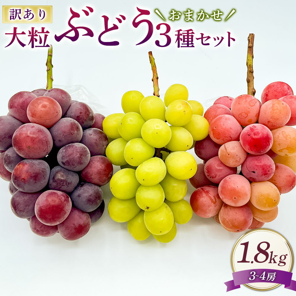 【ふるさと納税】訳あり 大粒 ぶどう 3種セット 3～4房 約1.8kg 3種おまかせ シャインマスカット ピオーネ クイーンニーナ オーロラブラック 等 ぶどう 種なし 果物 くだもの フルーツ 詰め合わせ ご家庭用 常温 岡山県 送料無料【2025年10月上旬～12月上旬発送予定】