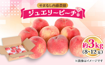 桃 約3.0kg 8～12玉 やまなし内藤農園 ジュエリーピーチ (R) 白桃【配送不可地域：離島】【1225654】